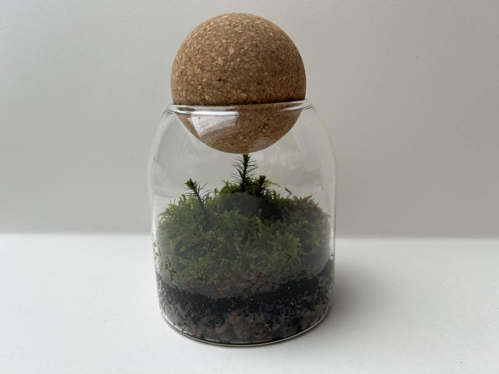 Terrarium mousse - 13 cm